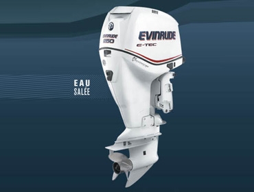 【EVINRUDE E-TEC 250 船外機】